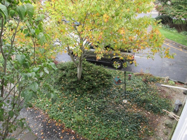 Eastwood at Provincetown image 25